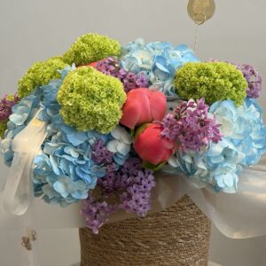 Blue Laguna and coral bubble